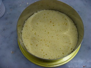 IMG_4130.jpg